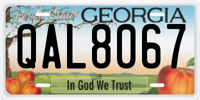 GA license plate QAL8067
