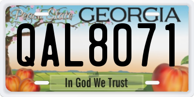 GA license plate QAL8071