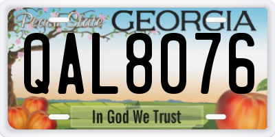 GA license plate QAL8076