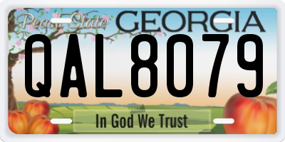 GA license plate QAL8079