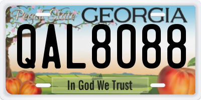 GA license plate QAL8088