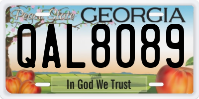 GA license plate QAL8089