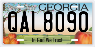 GA license plate QAL8090