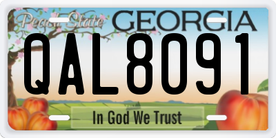 GA license plate QAL8091