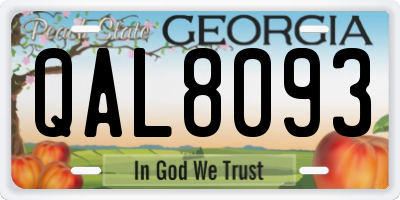 GA license plate QAL8093