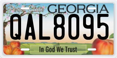 GA license plate QAL8095