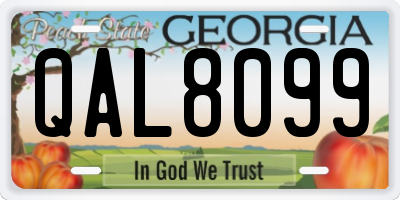 GA license plate QAL8099