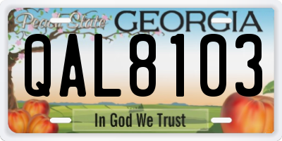 GA license plate QAL8103