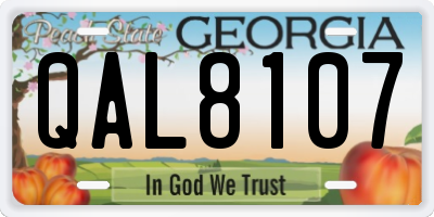 GA license plate QAL8107