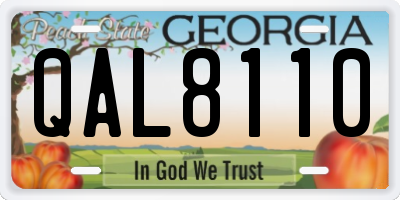 GA license plate QAL8110