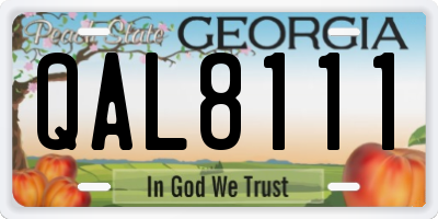 GA license plate QAL8111