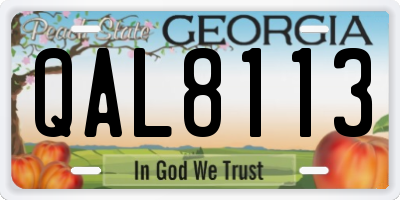 GA license plate QAL8113