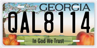 GA license plate QAL8114