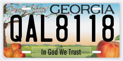 GA license plate QAL8118