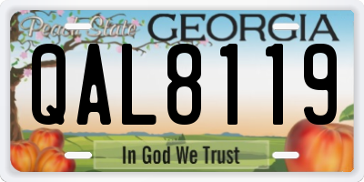 GA license plate QAL8119