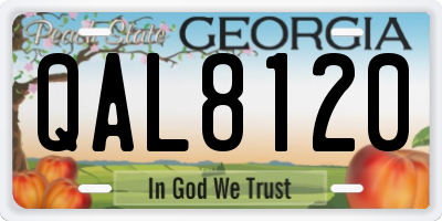 GA license plate QAL8120