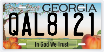 GA license plate QAL8121