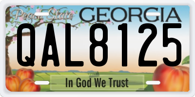 GA license plate QAL8125