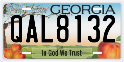 GA license plate QAL8132