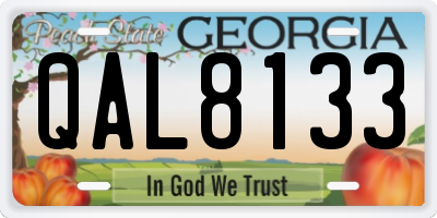 GA license plate QAL8133