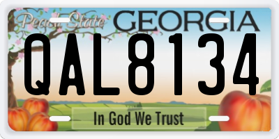 GA license plate QAL8134