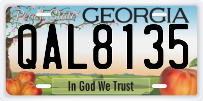 GA license plate QAL8135