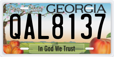 GA license plate QAL8137