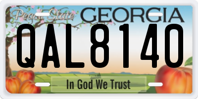 GA license plate QAL8140