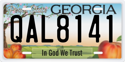 GA license plate QAL8141