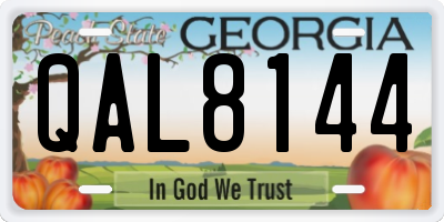 GA license plate QAL8144