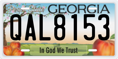 GA license plate QAL8153