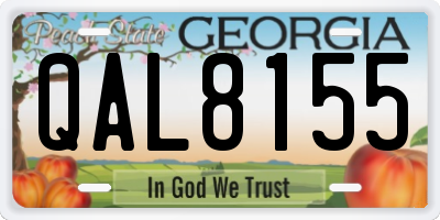 GA license plate QAL8155