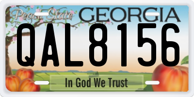 GA license plate QAL8156