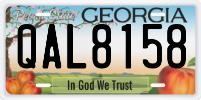 GA license plate QAL8158