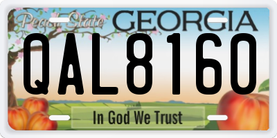 GA license plate QAL8160