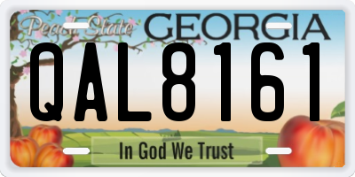 GA license plate QAL8161