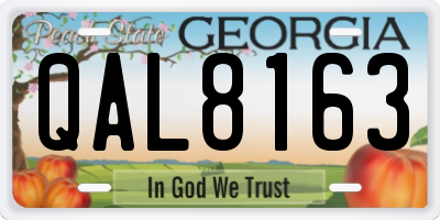 GA license plate QAL8163