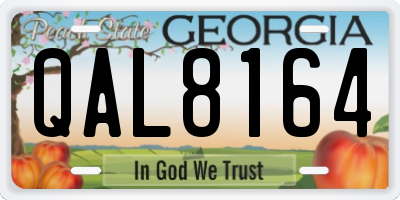 GA license plate QAL8164