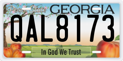 GA license plate QAL8173