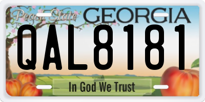 GA license plate QAL8181