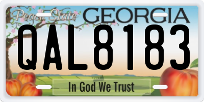 GA license plate QAL8183