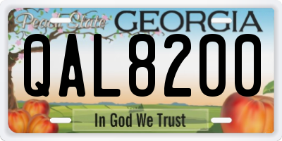 GA license plate QAL8200
