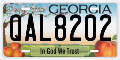GA license plate QAL8202