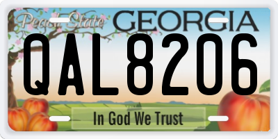 GA license plate QAL8206