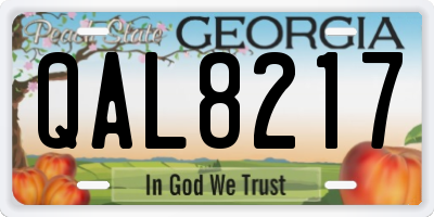 GA license plate QAL8217