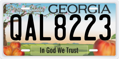 GA license plate QAL8223