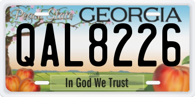 GA license plate QAL8226