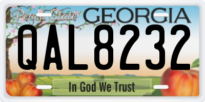 GA license plate QAL8232