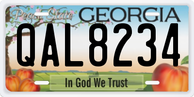GA license plate QAL8234