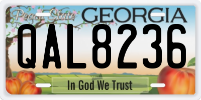 GA license plate QAL8236